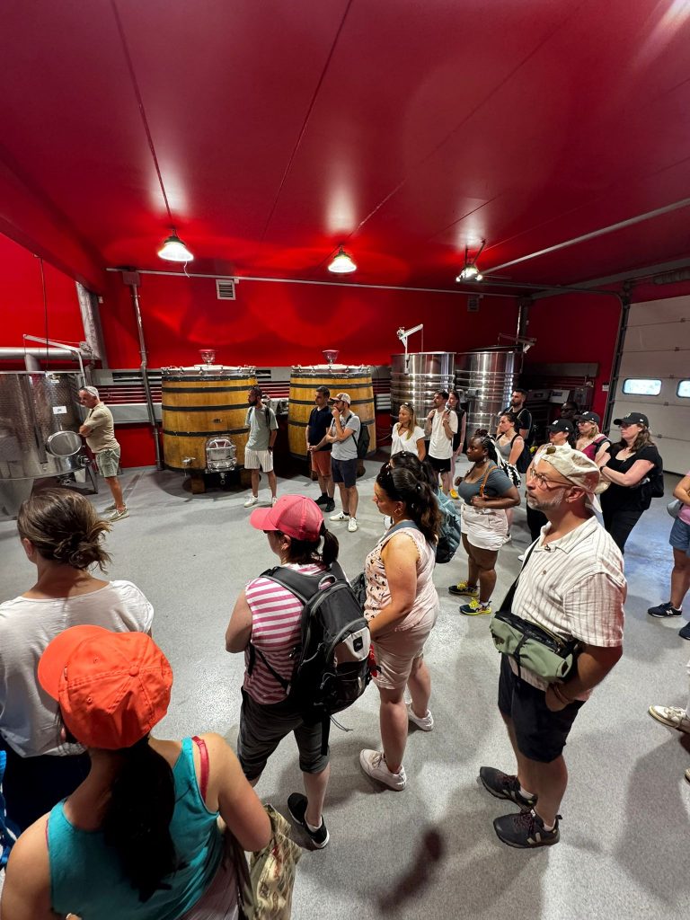 Visite Domaine Viticole